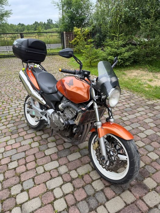Honda Hornet