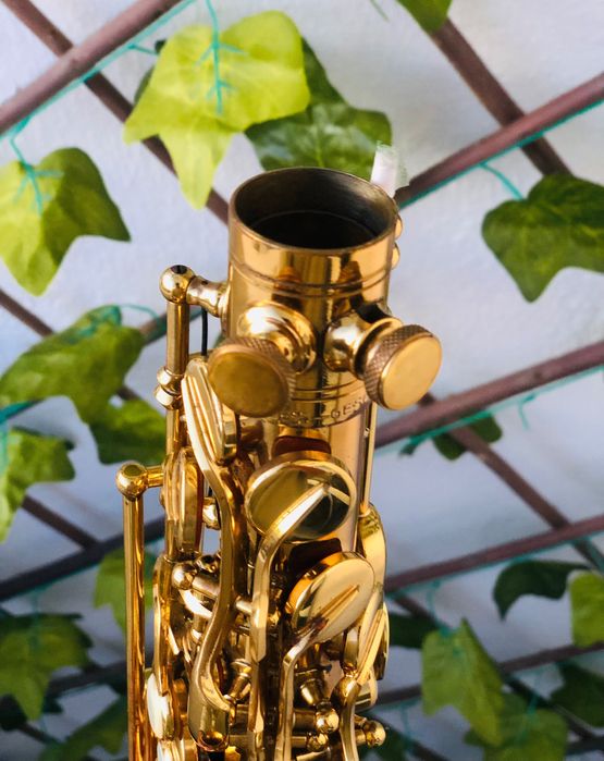 Saxofone Alto Hohner President