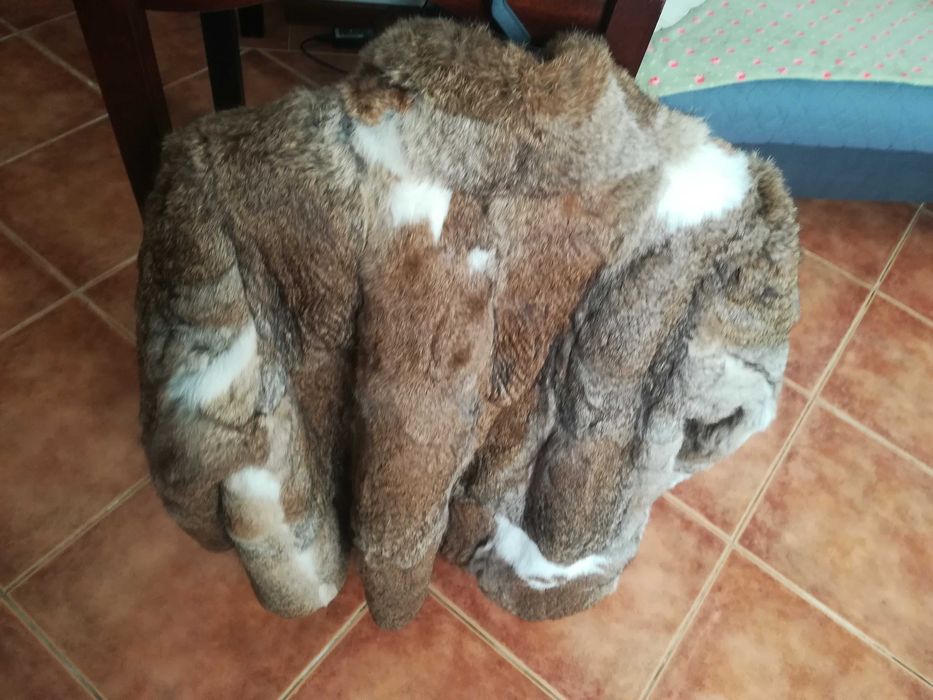 Casaco de Inverno de Pêlo Castanho