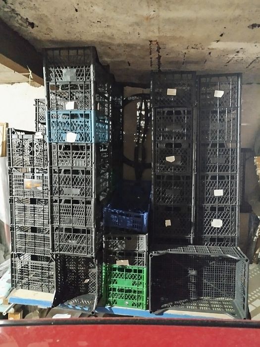 Пластикові ящики