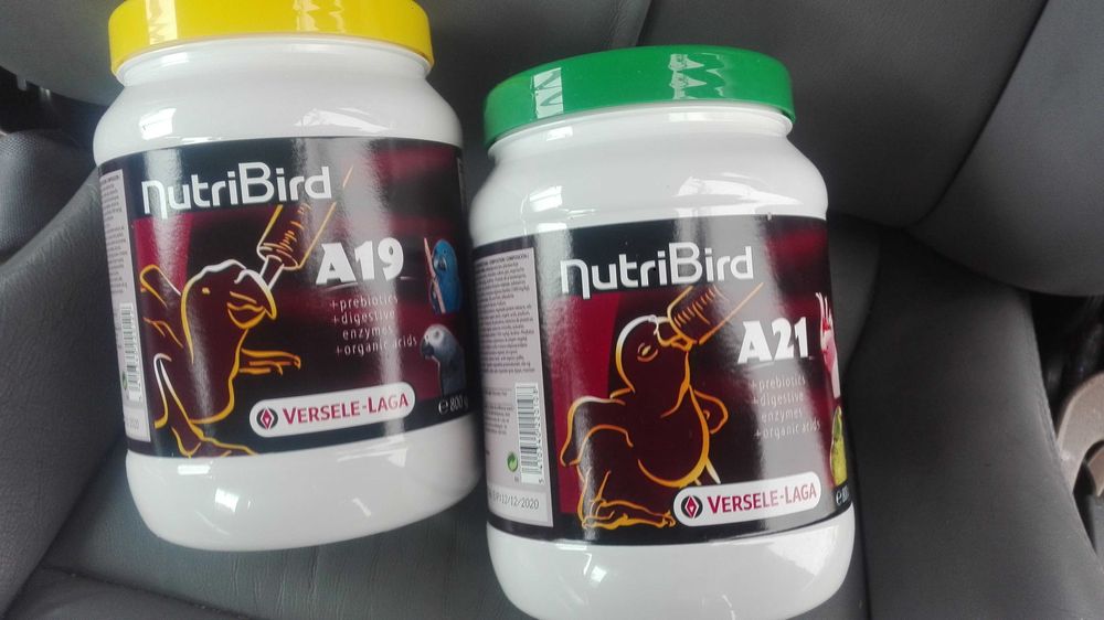 Vendo caturras bebes