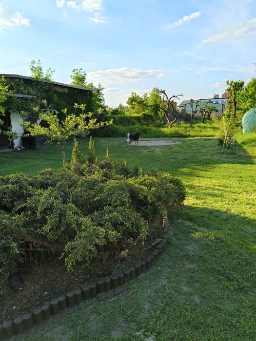 Dom na sprzedaż Chabielice Kolonia
