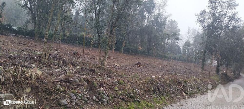 Terreno em Fornelo e Vairão