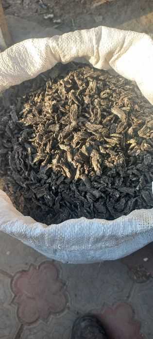 Продаю соняшникову макуху