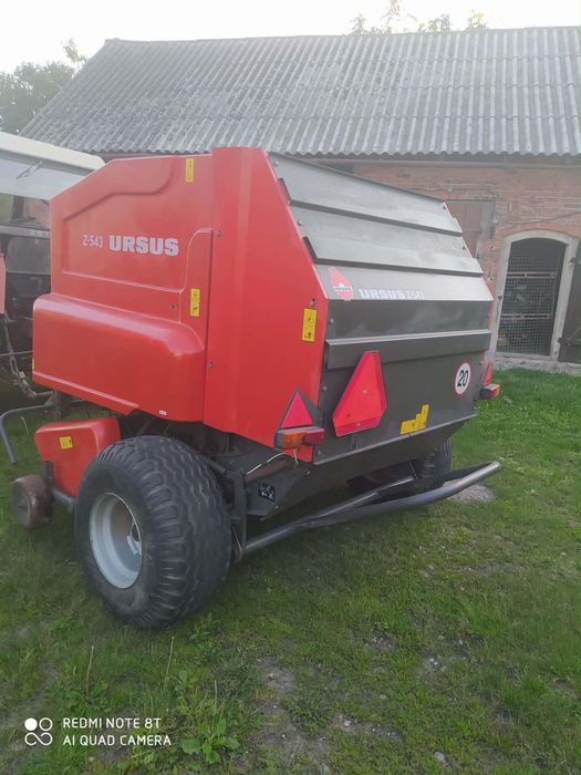 Sprzedam prase ursus z-543