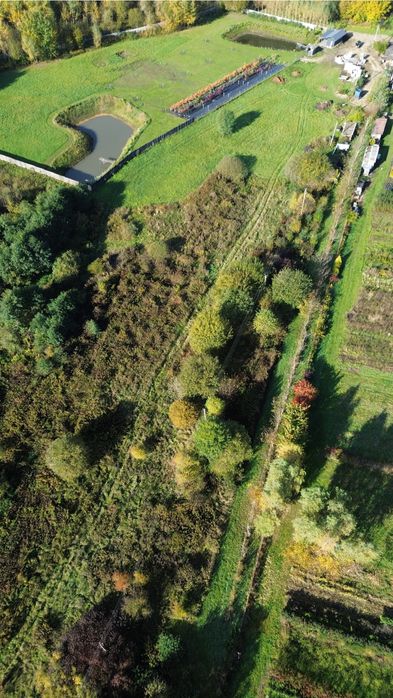 Продаж ділянки с.Добощівка , Мостищина