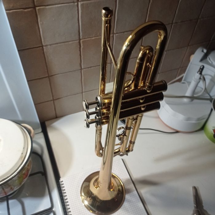 Труба Maxtone  НОВИЙ / NOS / кейс + мундштук / Київ