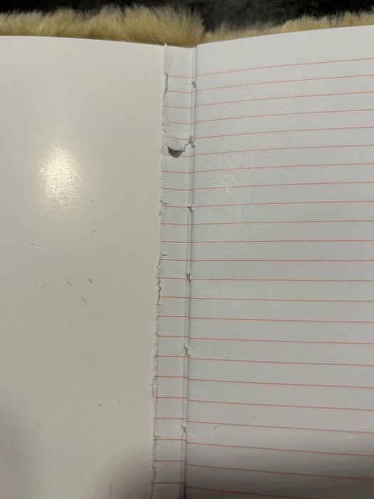 Puchaty notesik z reniferkiem, klodka