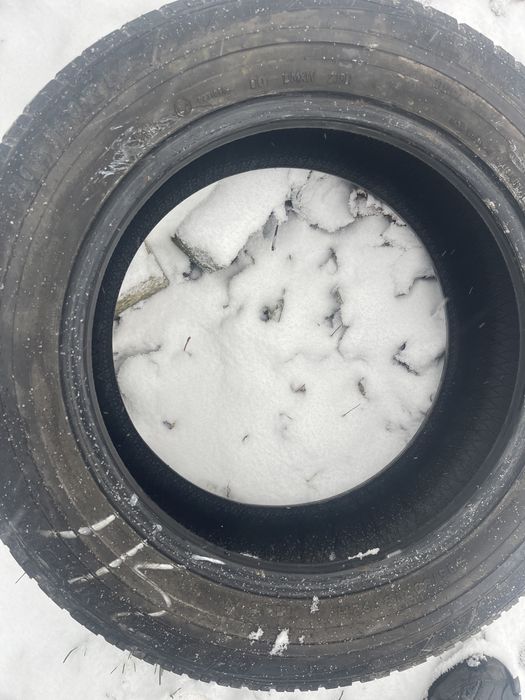 Резина 205 60 R16 Dunlop , зима, б/у , на докат