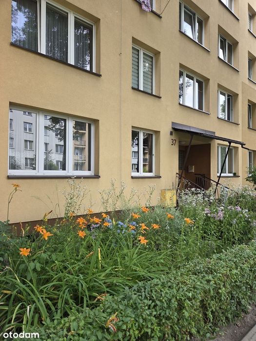 GLIWICE Sikornik urocza kawalerka na parterze w niskim bloku
