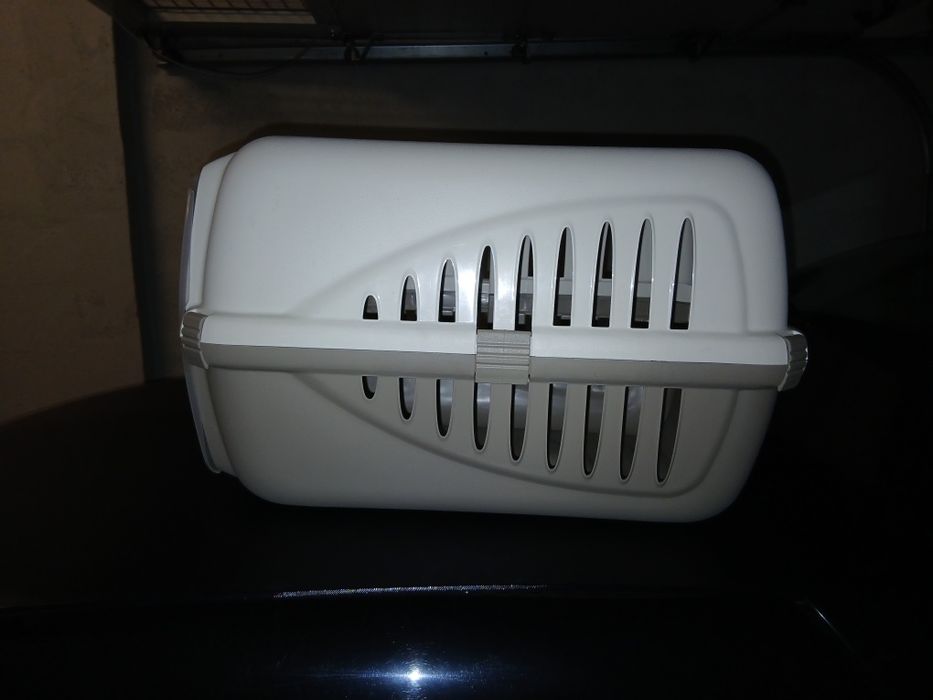 Liteira, transporte + sofá gatos