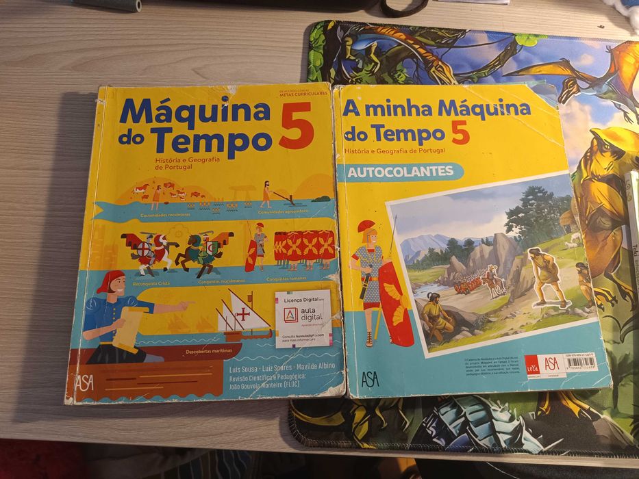 Manuais e livros fichas 5 ano