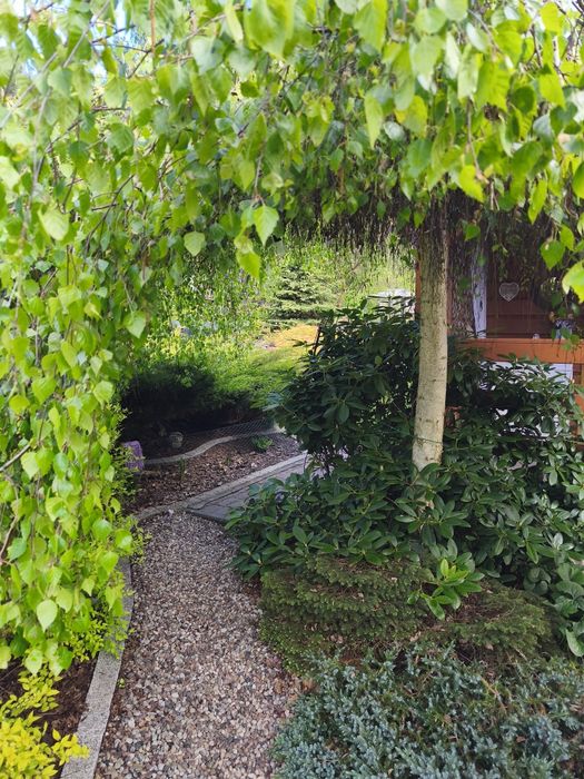 Piękna działka letniskowa z domkiem, Struga gmina Stara Kiszewa,Struga