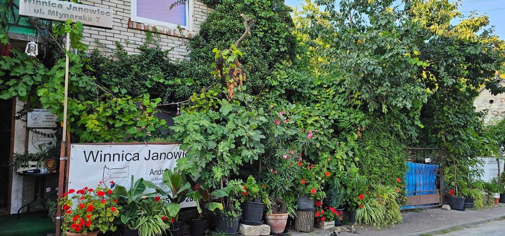 Agroturystyka "Sosenkowe zacisze "