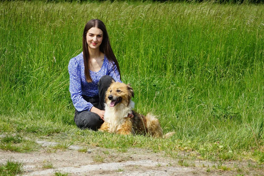 Big - uroczy pies szuka domu