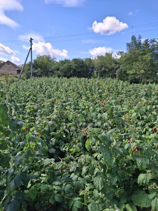 Від власника продається будинок.