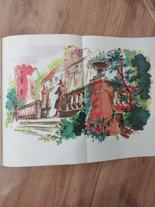 Książka Pan Tadeusz