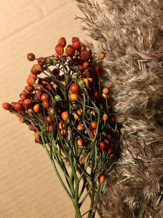 Gałązki ozdobne z czerwonymi owockami