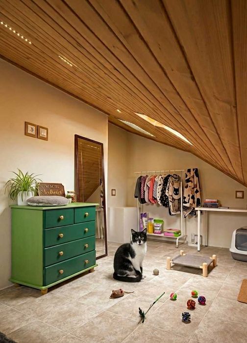 Hospedagem Familiar | Passeios | Pet Sitting