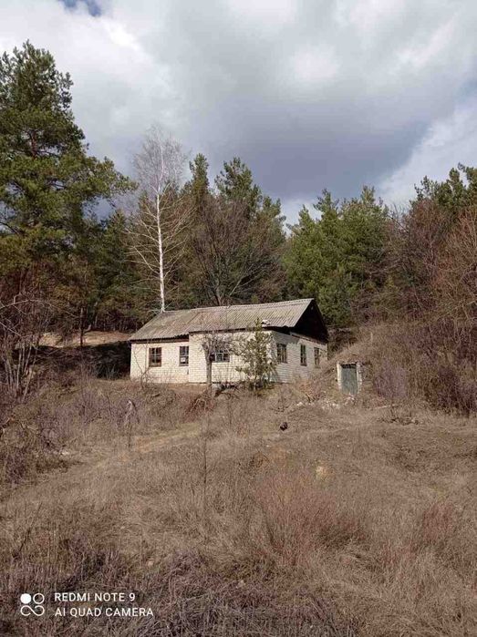Продам дом у леса Чугуевский  район