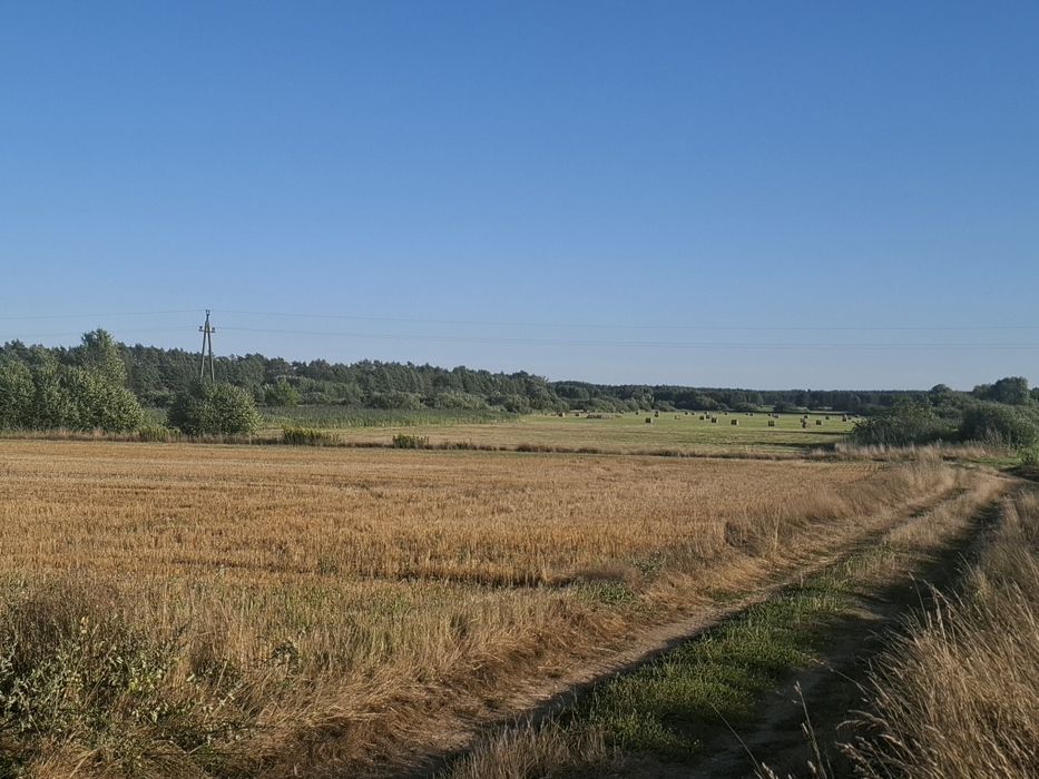Sprzedam łąkę 2.72ha