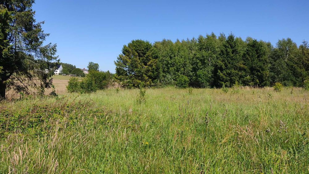 Koleczkowo koło Gdyni działkę budowlaną 1443 m² sprzedam - Widok 4