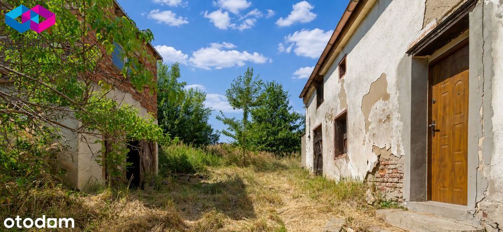 Dom – Kędzierzyn-Koźle, Nowa Wieś, powiat kędzierzyńsko-kozielski - Widok 5