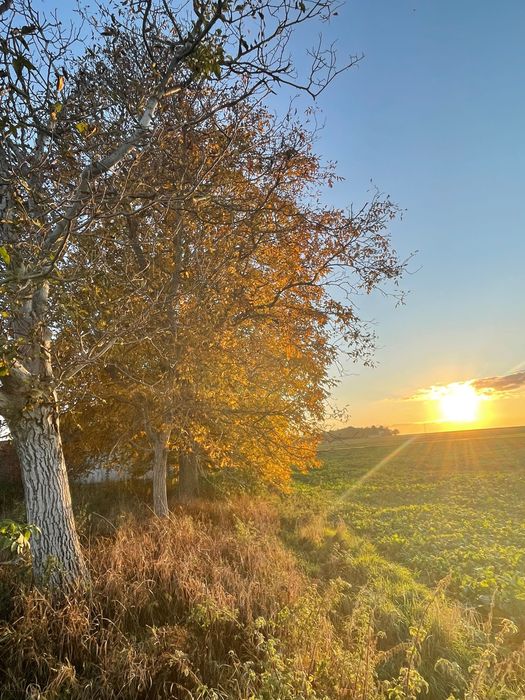 Ostatnia działka w pierwszej linii zabudowy! 15 min. od Lublina