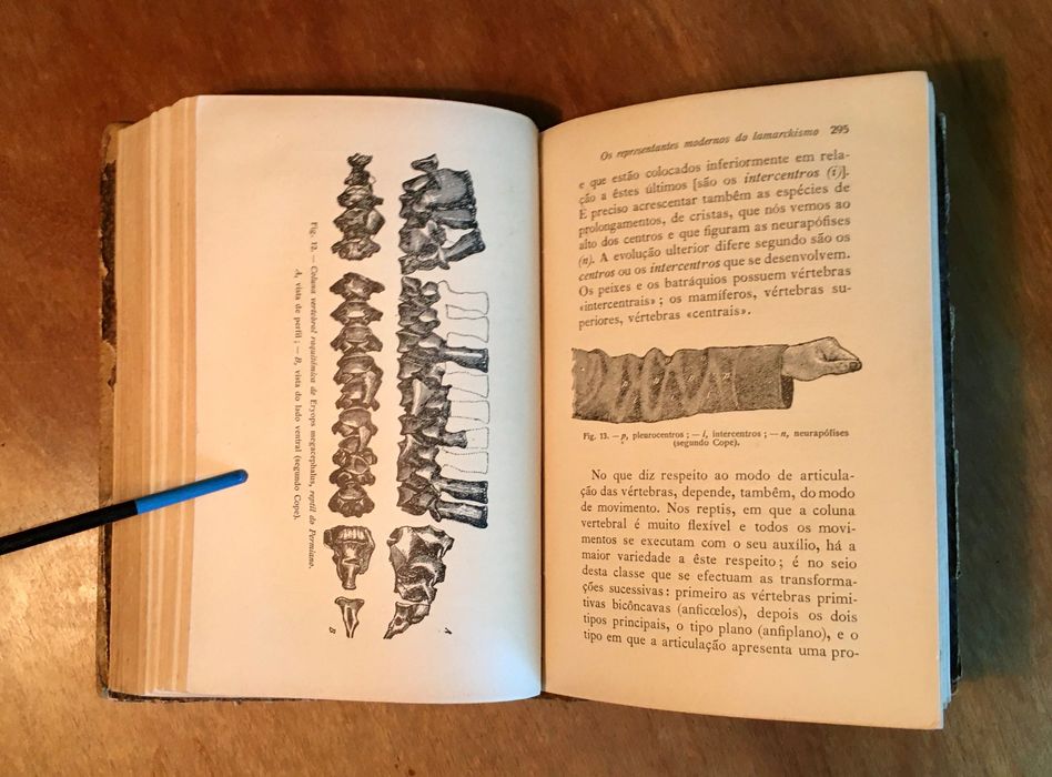 AS TEORIAS DA EVOLUÇÃO - 1915 - trad. de Armando Cortesão