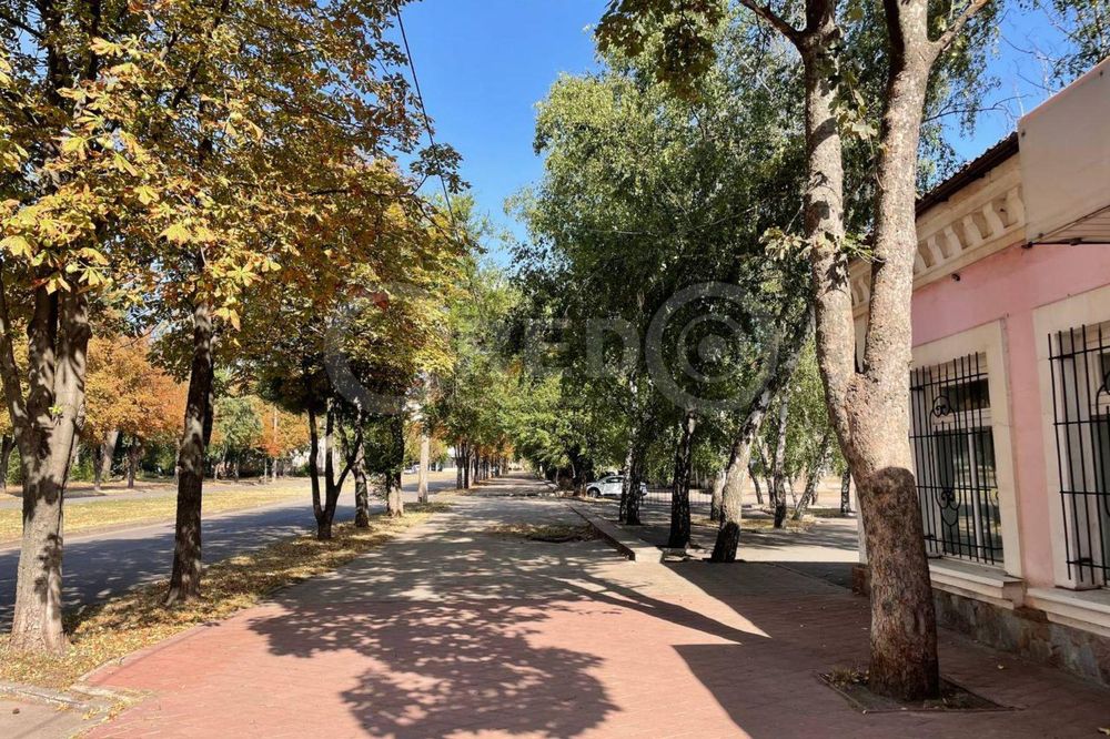 Продаж 1-поверхової будівлі, вул. Ф. Караманця