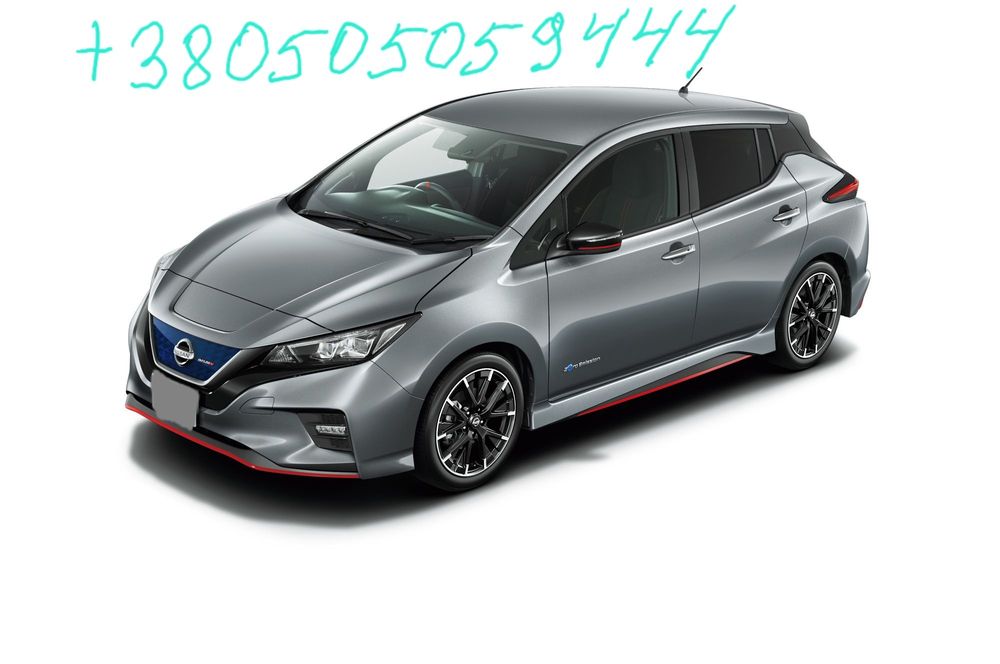 Бампер капот двери Nissan Leaf ZE1 Nismo Нисан Лиф 2020 Двері Лиф 2