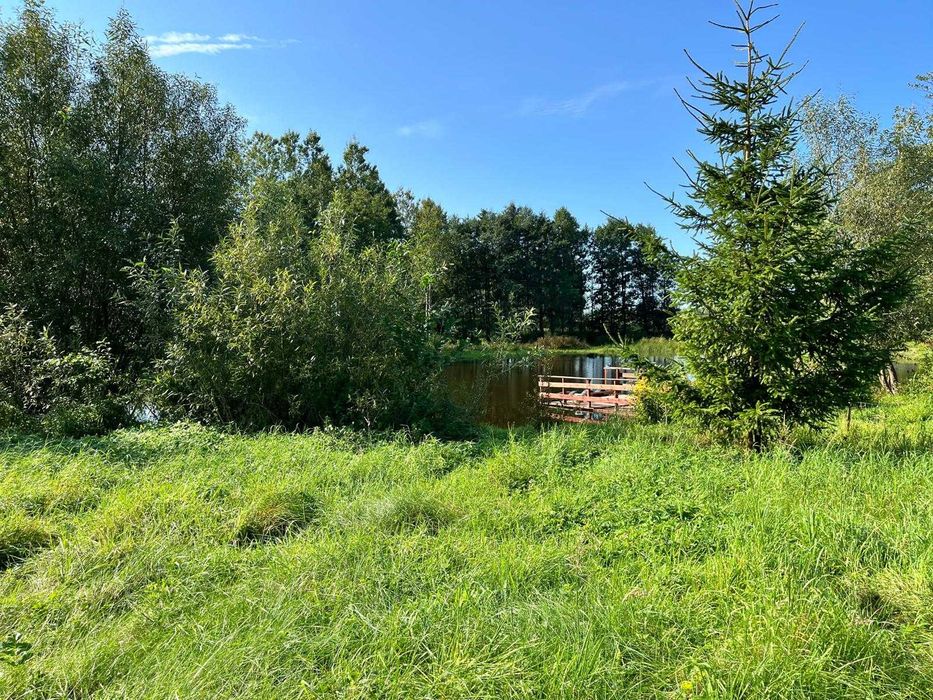 Gaj gm. Olsztynek - malownicza działka nad stawem