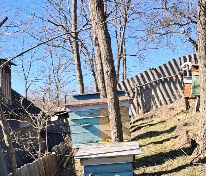 Продам добротні вулики лежаки, улии