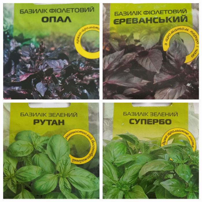 Фасоване насіння спецій