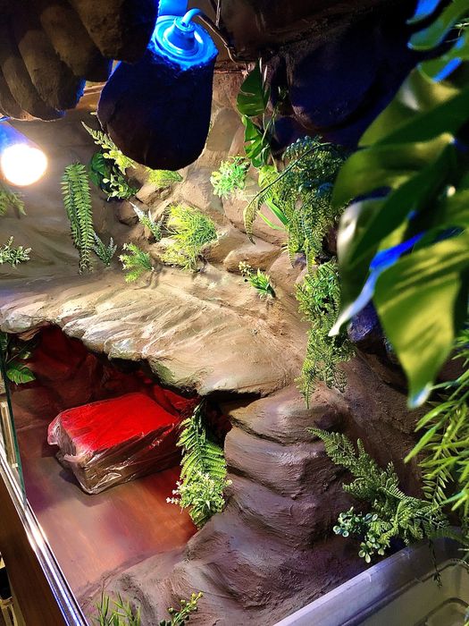 Terrarium z płyty drewnianej