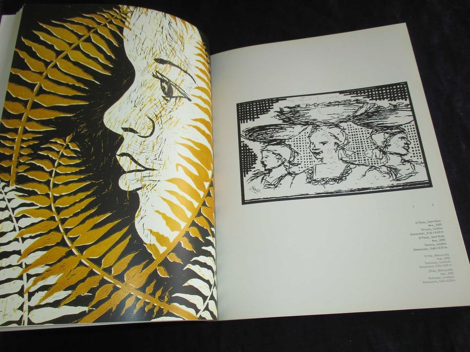 Livro Angola Tons e Texturas da Angolanidade 2003