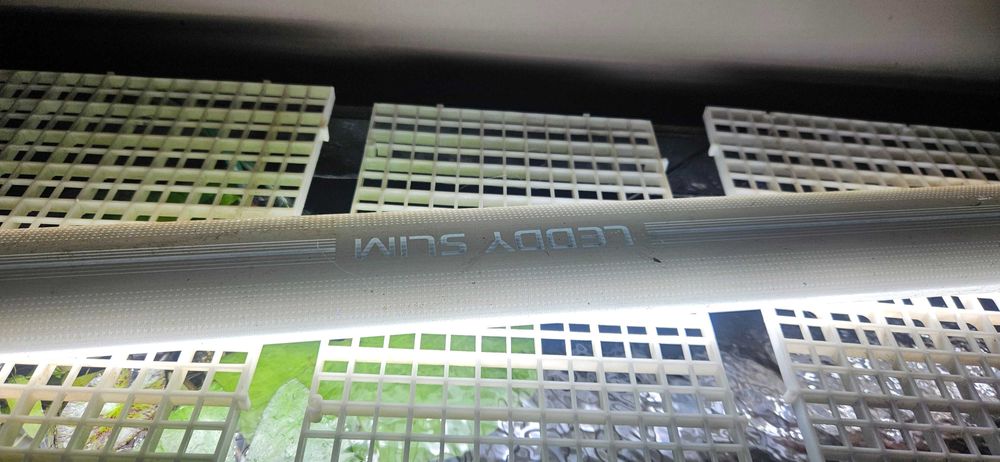 Sprzedam Akwarium 107l