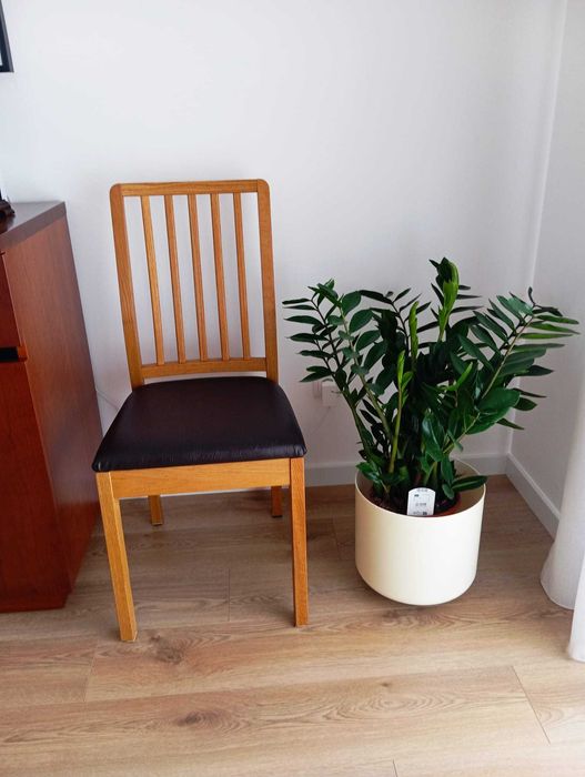 4 Cadeiras Sala 70€/unidade