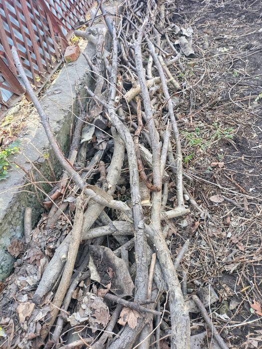 Продам гілля на дрова