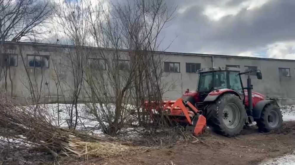 Mulczerowanie koszenie traw nieużytków zarośli drzew pni