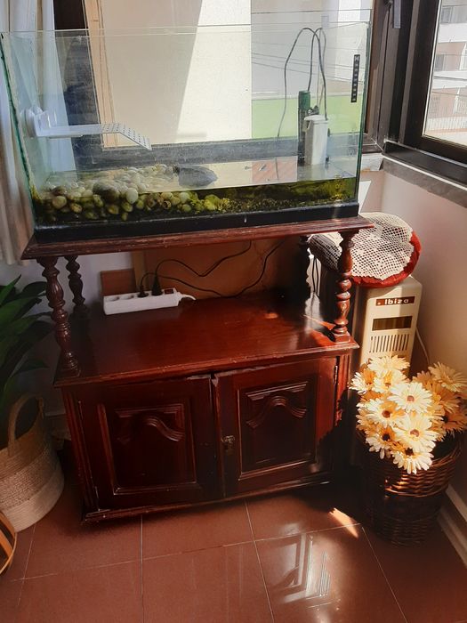 Aquário para tartaruga