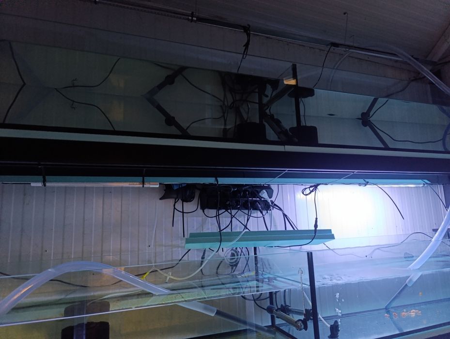 Aquários e material de aquariofilia