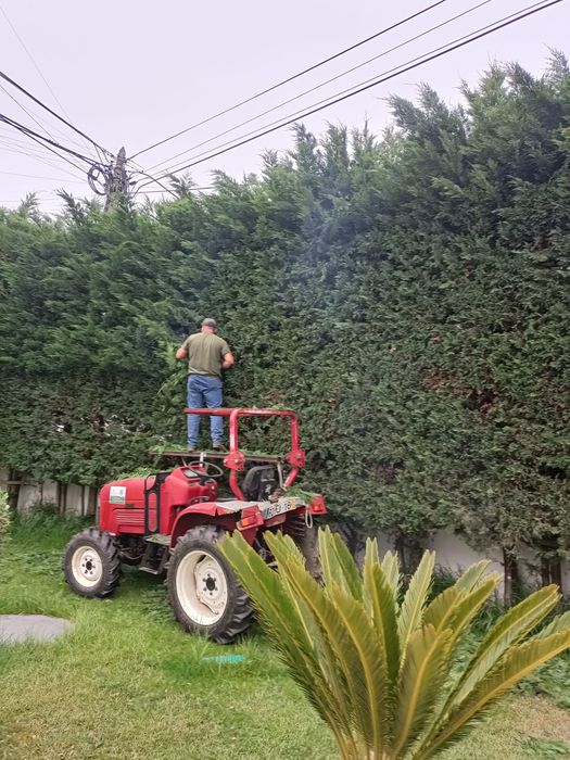 Limpeza de Terrenos e Jardinagem em Sintra e Arredores– Cortes, Abates e Entulhos