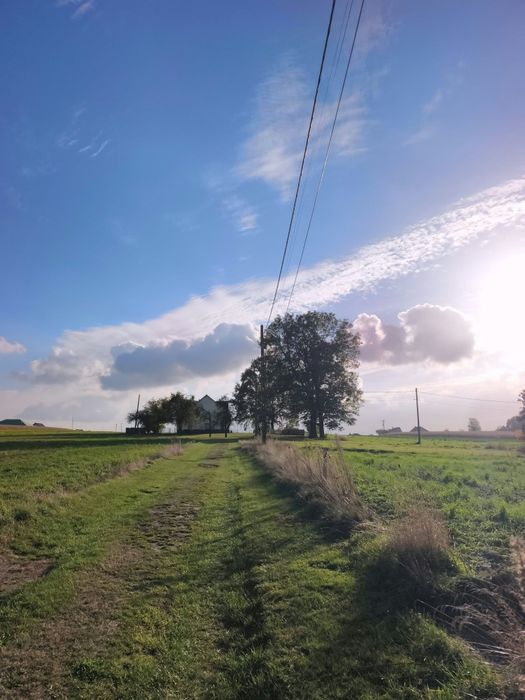Działka budowlana 1300 m² | Kobielice