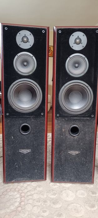 Tonsil Maestro 170