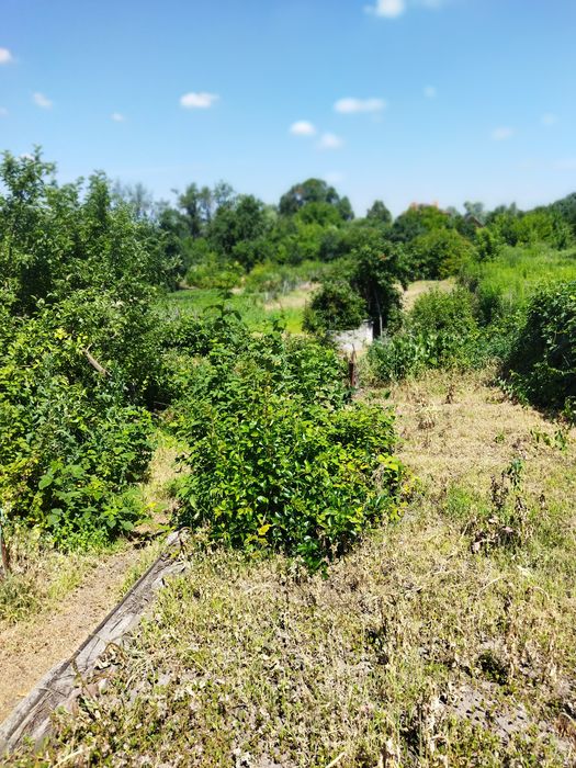 ДніпроПродаж част,будинку Таромське,Сертифікат