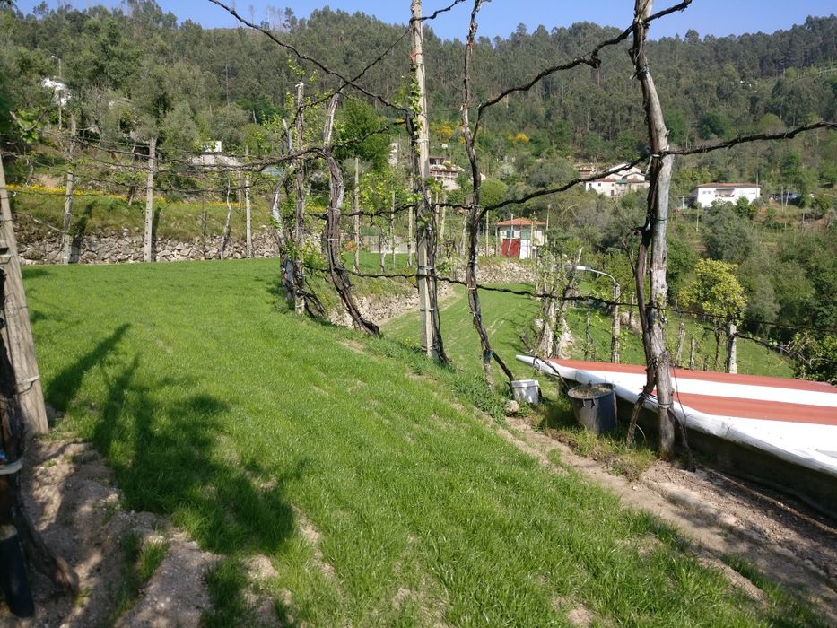 Casa, campos, tanque e anexo