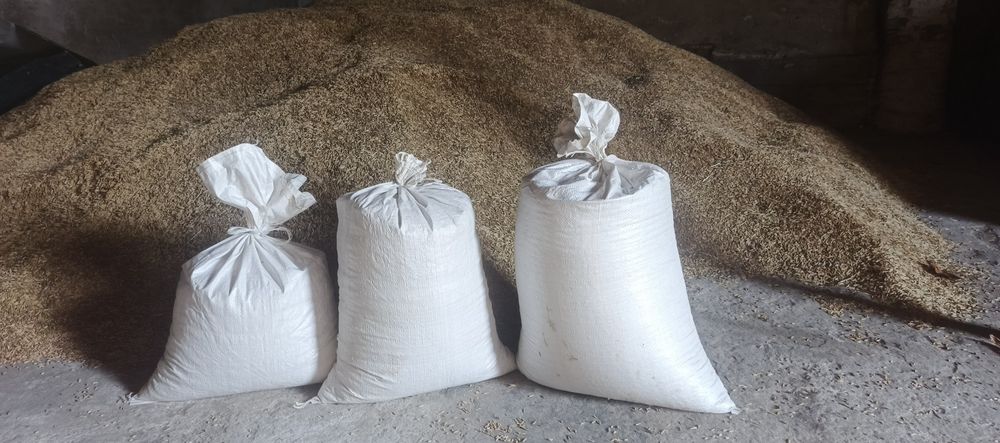 Owies na opał lub paszę. 10,15,20 kg