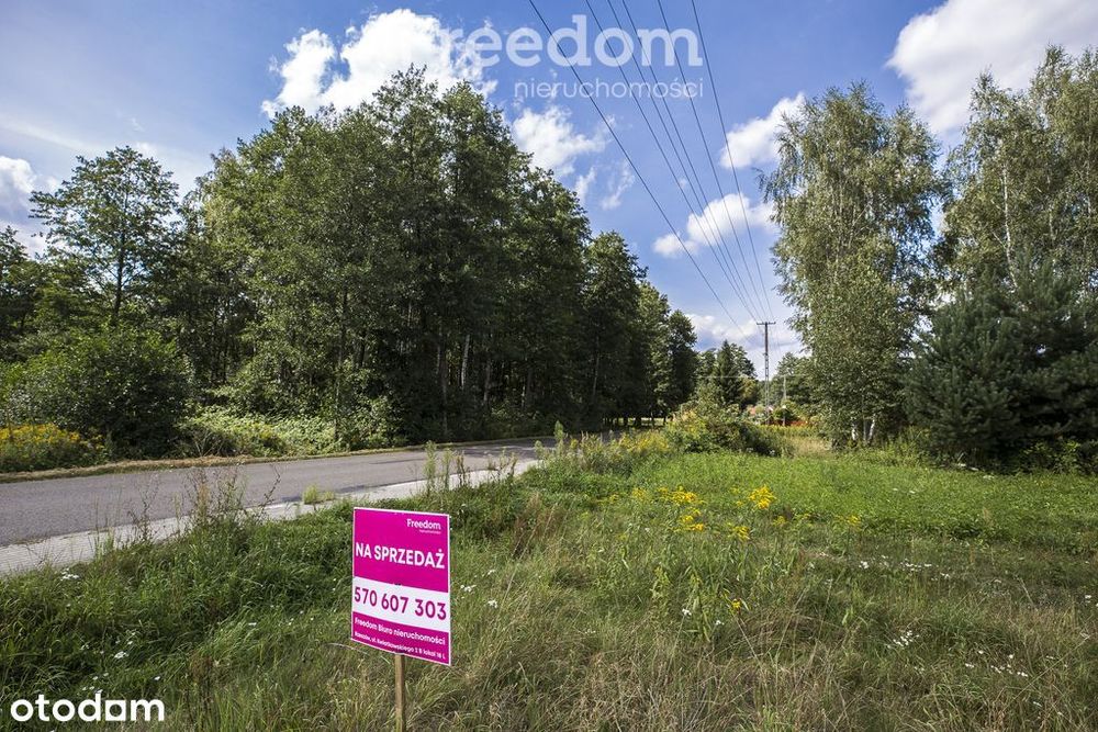Działka 81 ar z lasem | Wz w toku | Rakszawa - Widok 5
