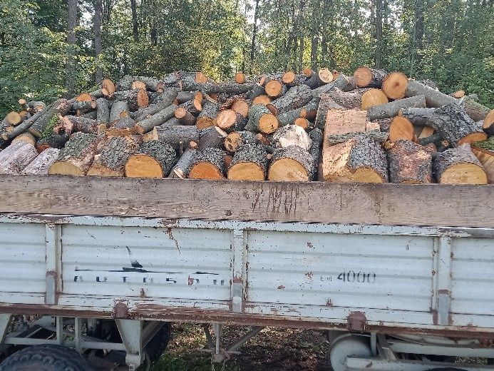 Drewno na opał-sosna